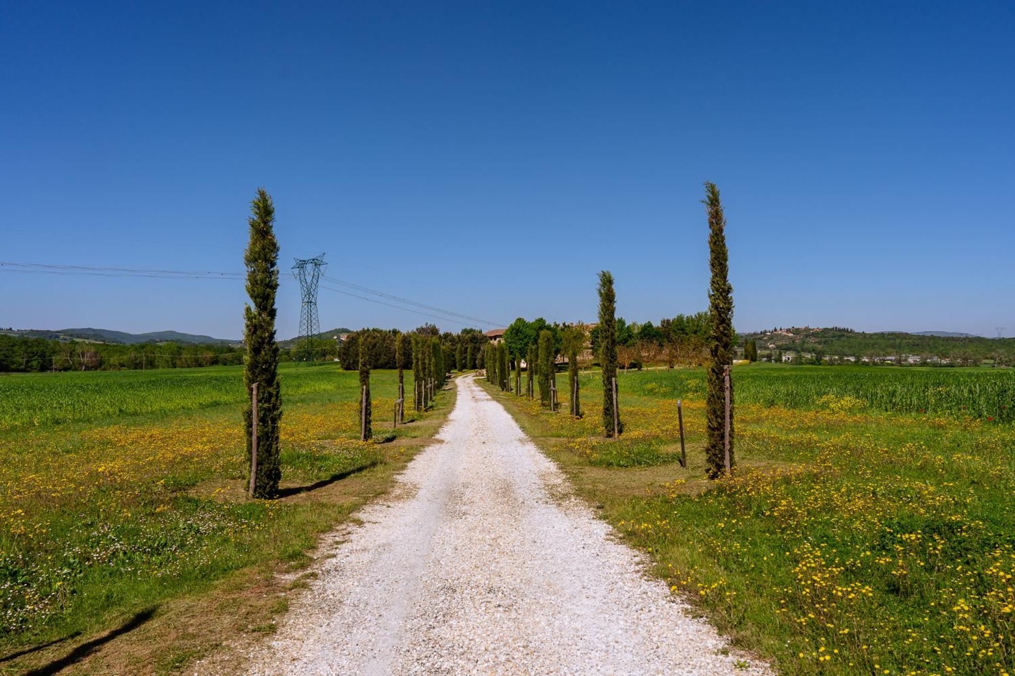Villa Le Beringhe - Wine Pool & Relax Colle Val D'Elsa Luaran gambar